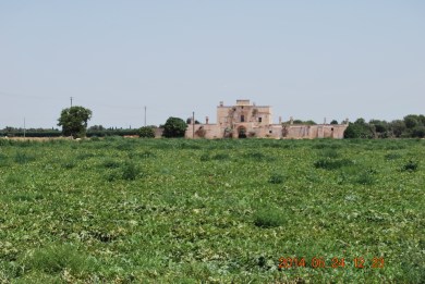 Masseria