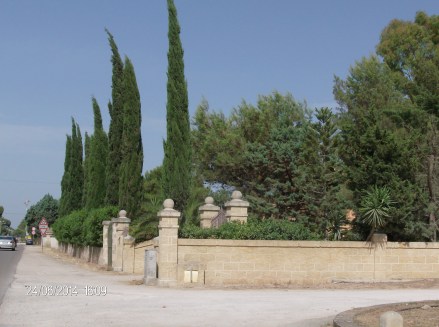 eller en vingård.......