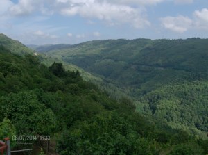 Langt ute i ødemarken